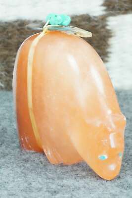 Bear Zuni Fetish Carving - Daphne Quam
