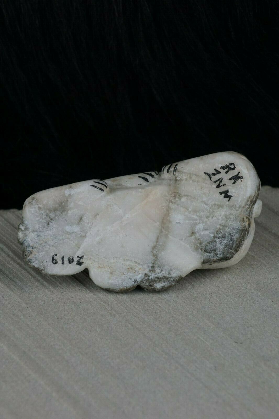 Bear Zuni Fetish Carving - Rick Kallestewa - High Lonesome Trading
