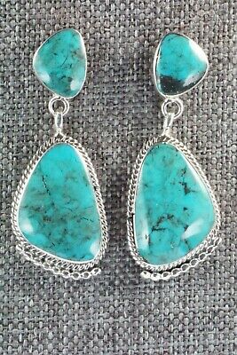 Turquoise and Sterling Silver Earrings - Sadie Jim