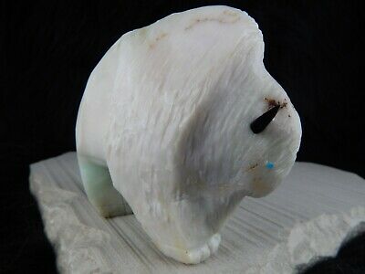 Buffalo Zuni Carving - Kevin Quam - High Lonesome Trading