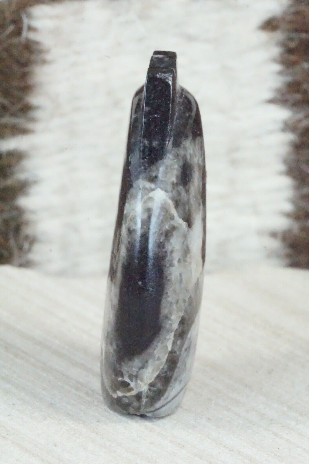 Lizard Zuni Fetish Carving - Abby Quam - High Lonesome Trading