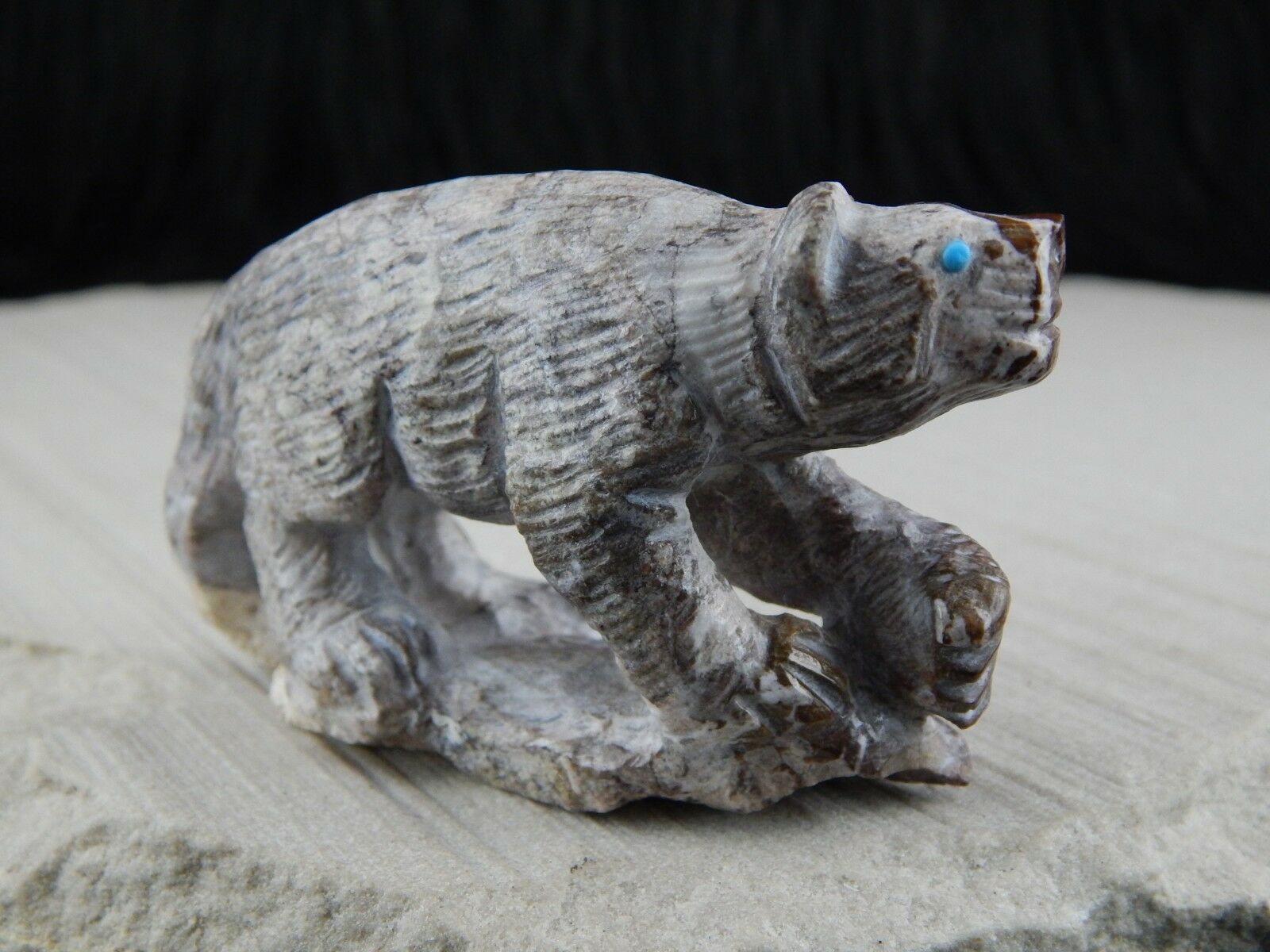 Bear Zuni Fetish Carving - Derrick Kaamasee - High Lonesome Trading