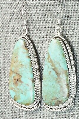 Turquoise & Sterling Silver Earrings - Sharon McCarthy