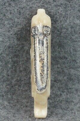 Mountain Lion Zuni Fetish Carving - Reynold Lunasee