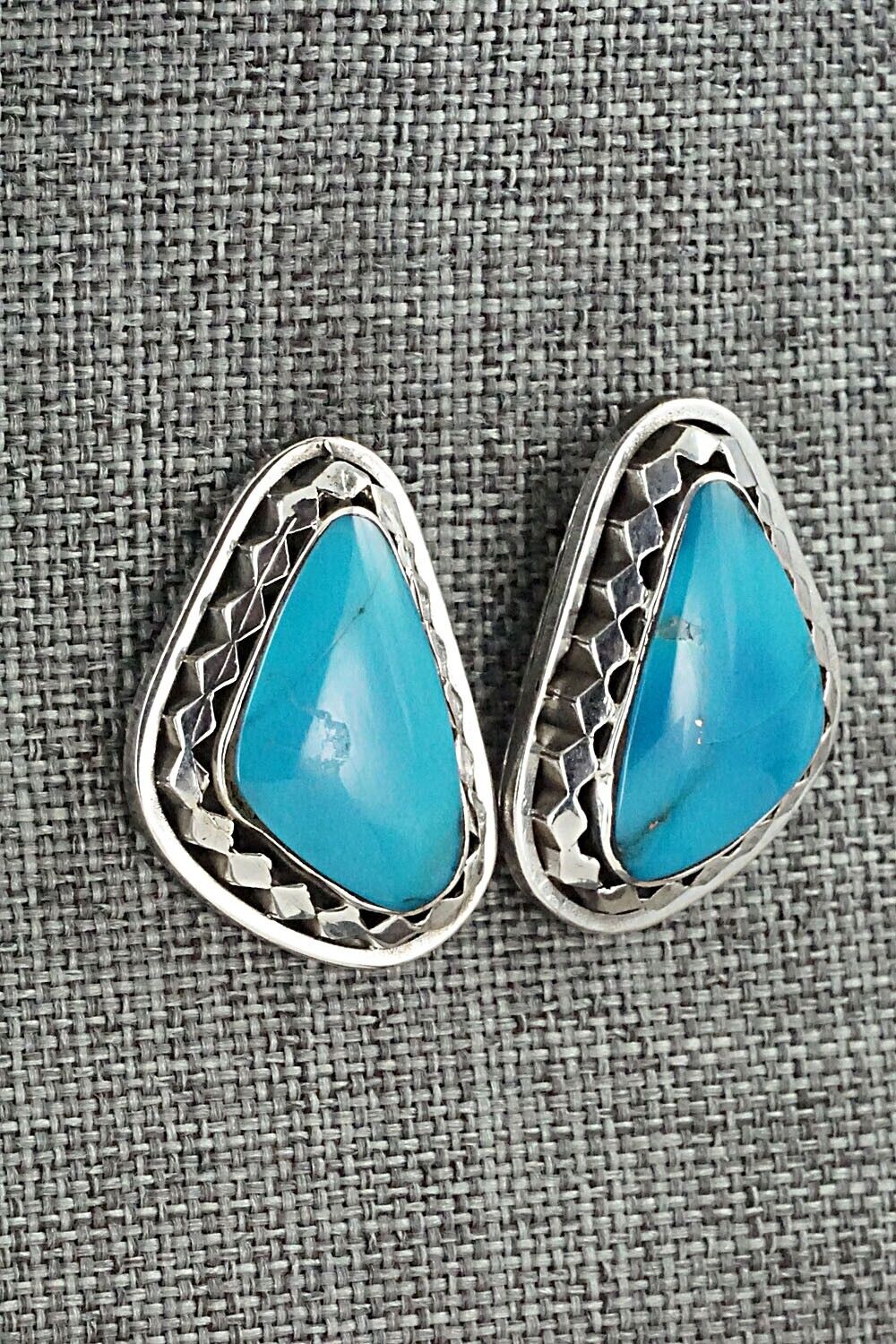 Turquoise and Sterling Silver Earrings - Sharon McCarthy