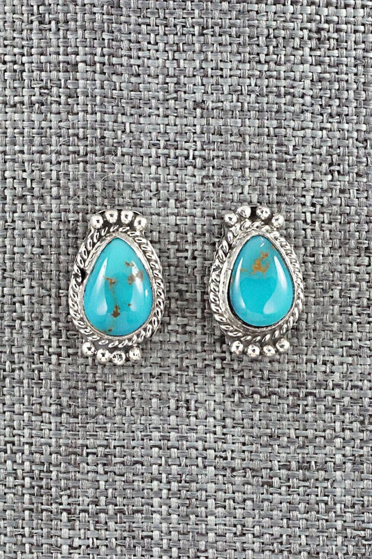 Turquoise & Sterling Silver Earrings - Jan Mariano