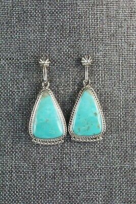 Turquoise and Sterling Silver Earrings - Sharon McCarthy