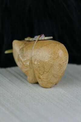 Bear Zuni Fetish Carving - Delvin Leekya - High Lonesome Trading