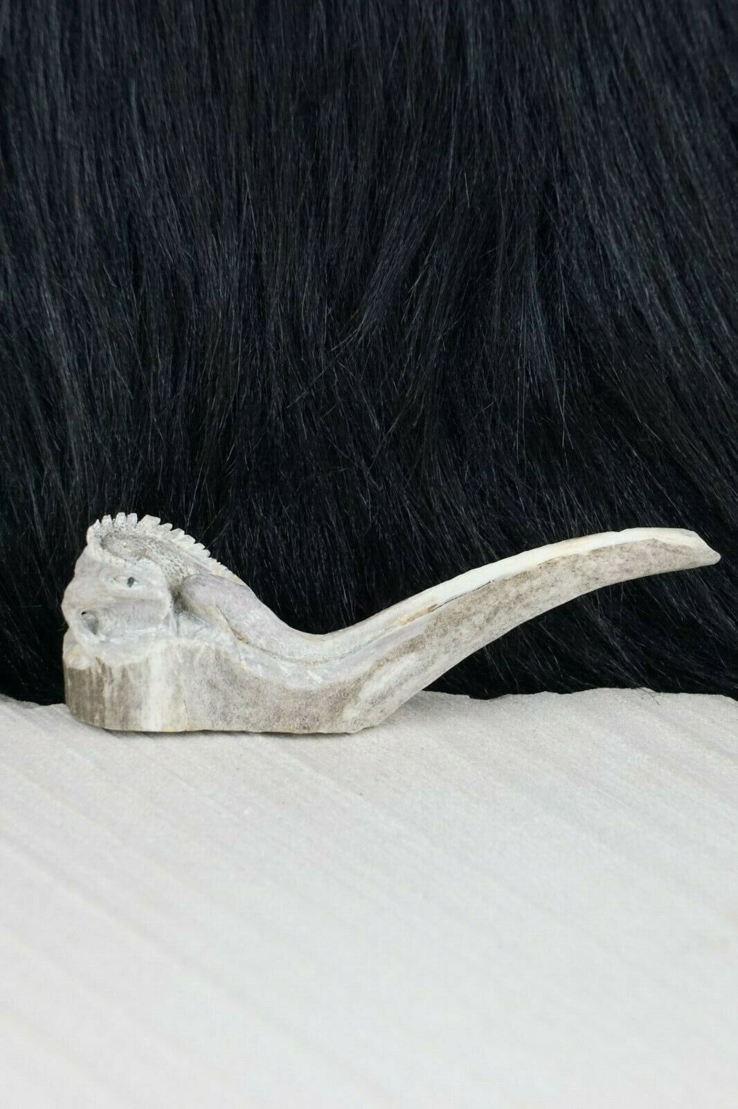 Iguana Zuni Fetish Carving - Lewis Malie - High Lonesome Trading
