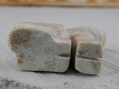 Bear Zuni Fetish Carving - Justin Natewa - High Lonesome Trading