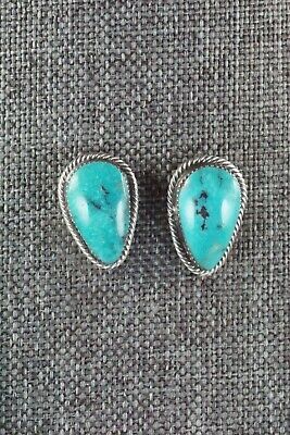 Turquoise & Sterling Silver Necklace and Earrings - Bobby Platero