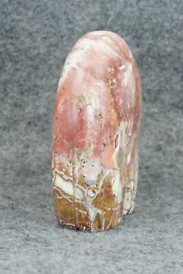 Bear Zuni Fetish Carving - Ronnie Lunasee