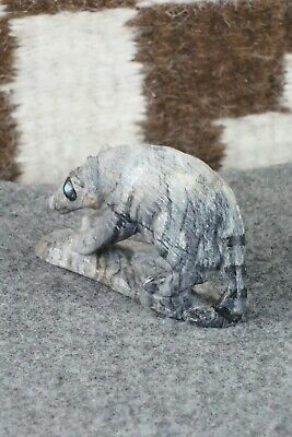 Raccoon Zuni Fetish Carving - Derrick Kaamasee