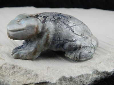 Frog Zuni Fetish Carving - Herbert Him Jr - High Lonesome Trading