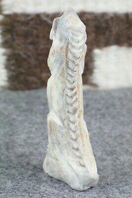 Iguana Zuni Fetish Carving - Derrick Kaamasee - High Lonesome Trading