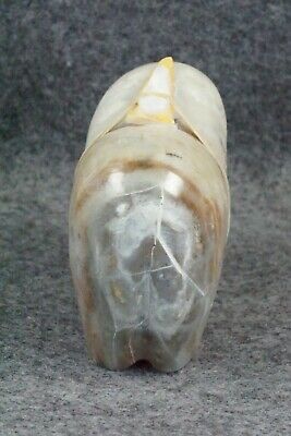 Bear Zuni Fetish Carving - Delvin Leekya
