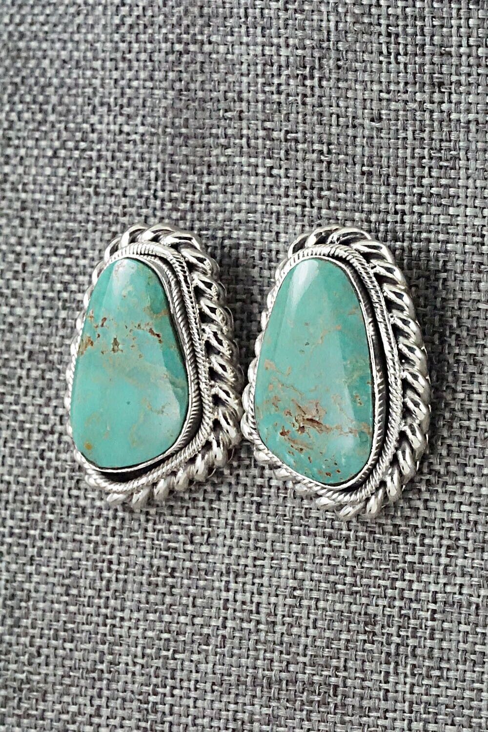 Turquoise and Sterling Silver Earrings - Sharon McCarthy