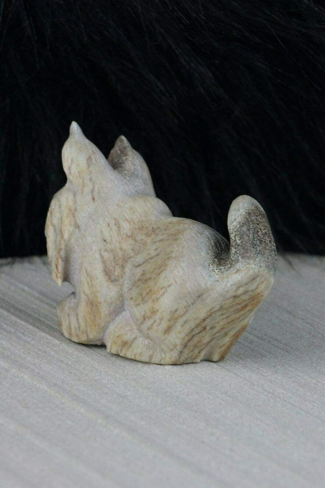 Dog - Zuni Fetish - Maxx Laate - Zuni Dog Carving - Native American - High Lonesome Trading