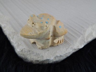 Frog Zuni Fetish Carving - Native American - High Lonesome Trading