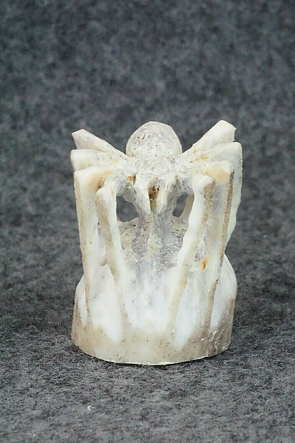 Spider Zuni Fetish Carving - Lewis Malie Jr.