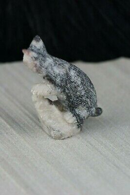 Bobcat Zuni Fetish Carving - Colin Weeka - High Lonesome Trading