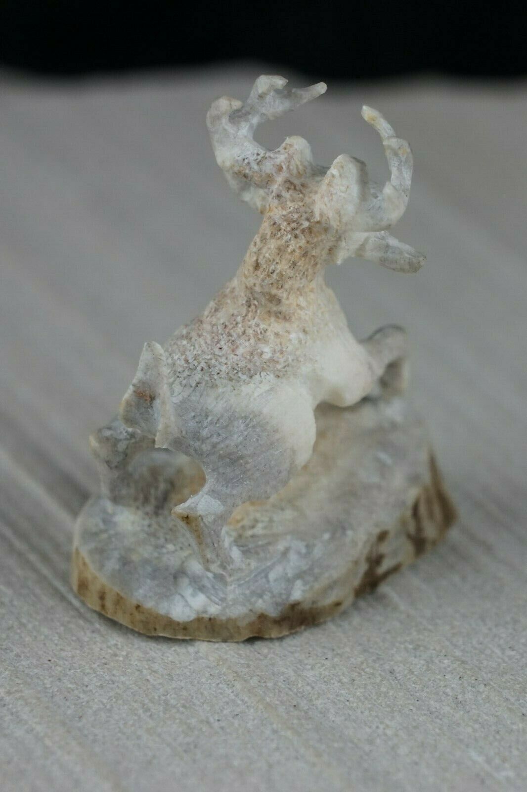 Deer Zuni Fetish Carving - Lewis Malie Jr. - High Lonesome Trading