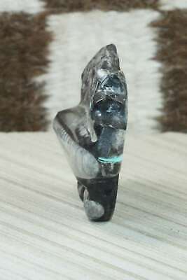 Bear Zuni Fetish Carving - Bernard Laiwakete