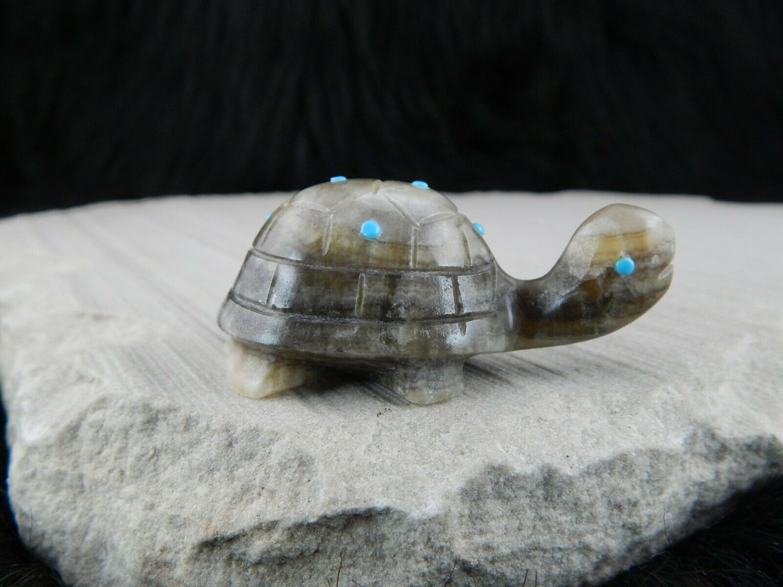 Turtle Zuni Fetish Carving - Ronnie Lunasee - High Lonesome Trading