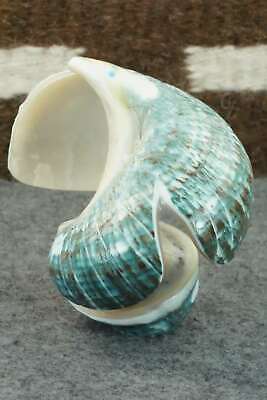 Eagle Zuni Fetish Carving - Delvin Leekya