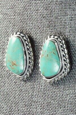Turquoise and Sterling Silver Earrings - Sharon McCarthy
