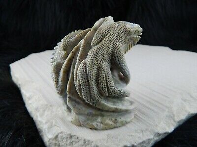 Lizard Zuni Fetish Carving - Calvin Weeka - High Lonesome Trading
