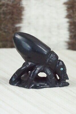 Beetle Zuni Fetish Carving - Derrick Kaamasee