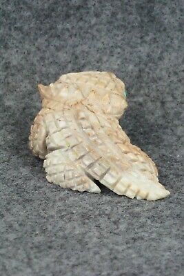 Horned Toad Zuni Fetish Carving - Jonas Hustito