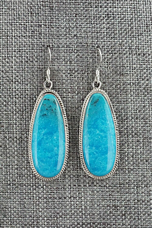 Turquoise and Sterling Silver Earrings - Sharon McCarthy