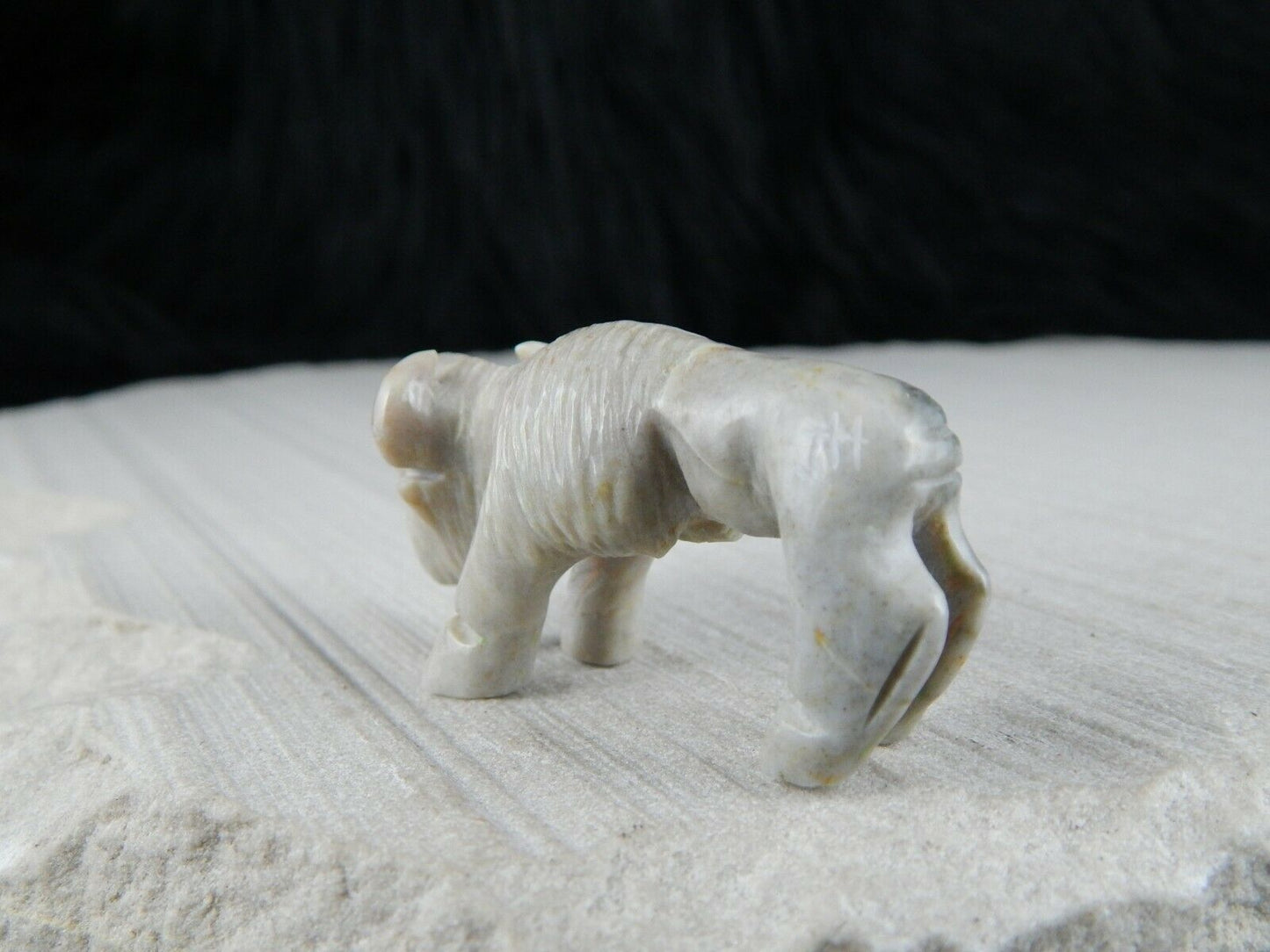 Buffalo Zuni Fetish Carving - Jonas Hastito - High Lonesome Trading