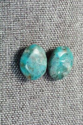 Turquoise & Sterling Silver Earrings - Joann Garcia