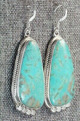 Turquoise & Sterling Silver Earrings - Sharon McCarthy