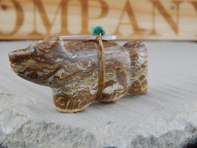 Bear Zuni Fetish Carving - Daphie Quam - High Lonesome Trading