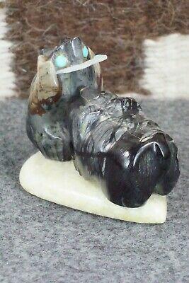 Bear Zuni Fetish Carving - Della Haloo - High Lonesome Trading
