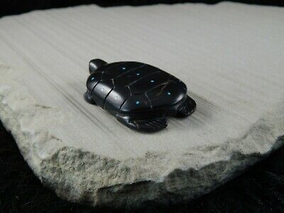 Turtle Zuni Fetish Carving - Alex Tsethlikai - High Lonesome Trading
