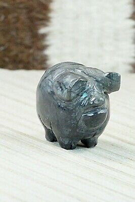 Pig Zuni Fetish Carving - Stanton Hannaweeke