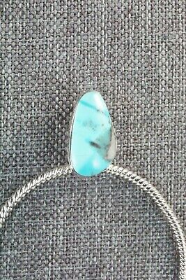 Turquoise & Sterling Silver Earrings - Annie Spencer - High Lonesome Trading