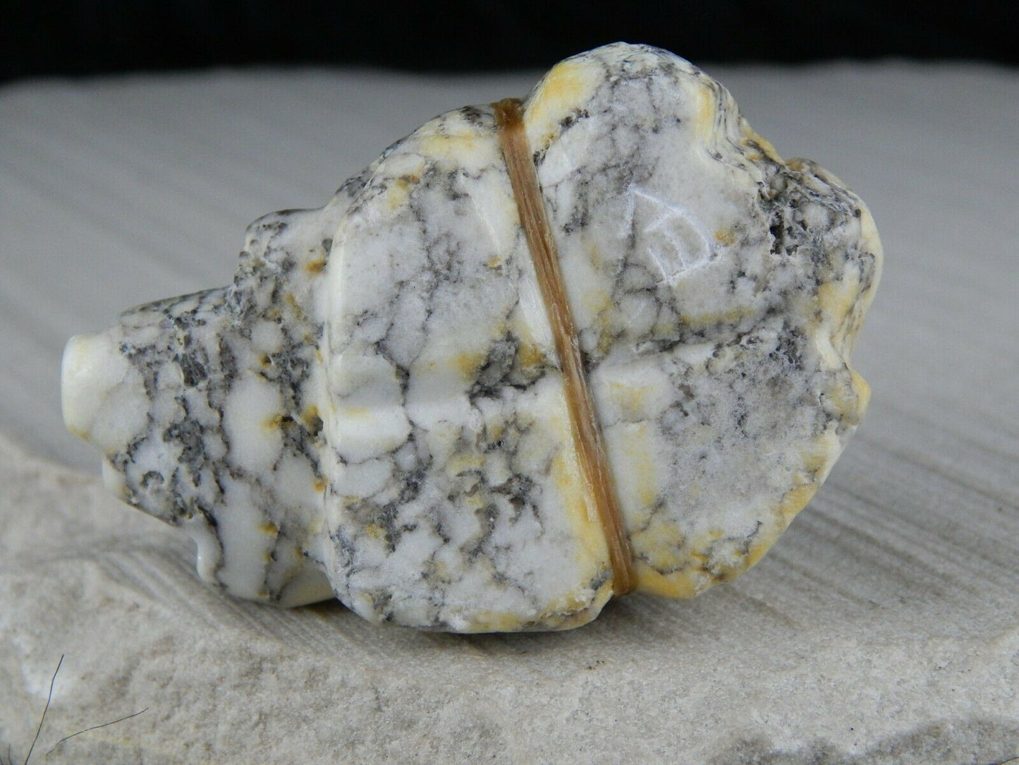 Badgers Zuni Fetish Carving - Ed Lementino - High Lonesome Trading