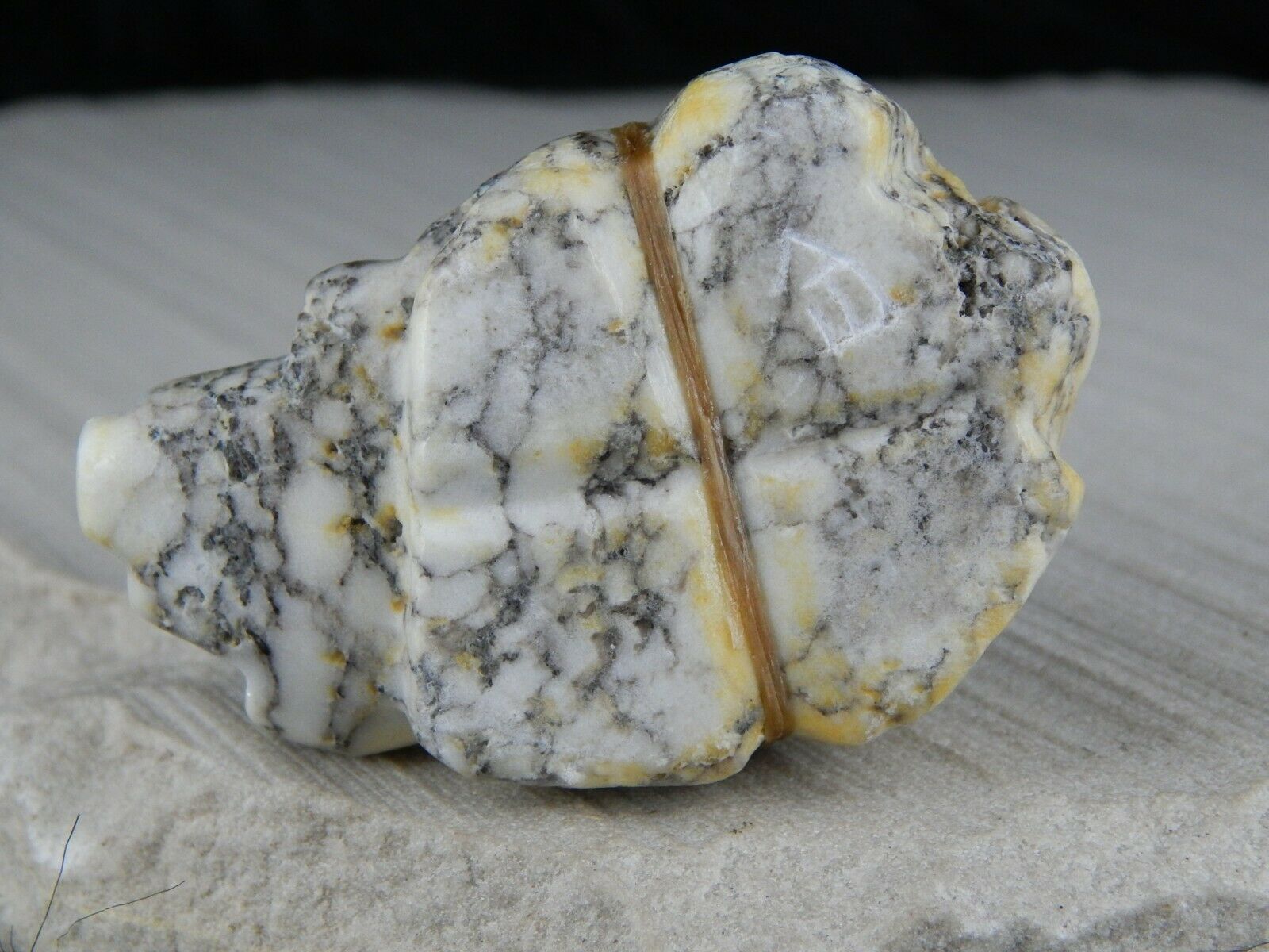 Badgers Zuni Fetish Carving - Ed Lementino - High Lonesome Trading