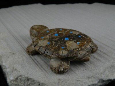 Turtle Zuni Fetish Carving - Reynold Lunasee - High Lonesome Trading