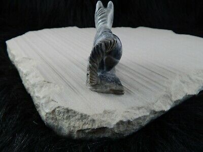 Horse Zuni Fetish Carving - Calvin Weeka - High Lonesome Trading