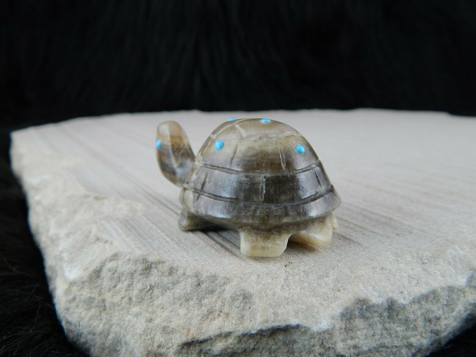Turtle Zuni Fetish Carving - Ronnie Lunasee - High Lonesome Trading