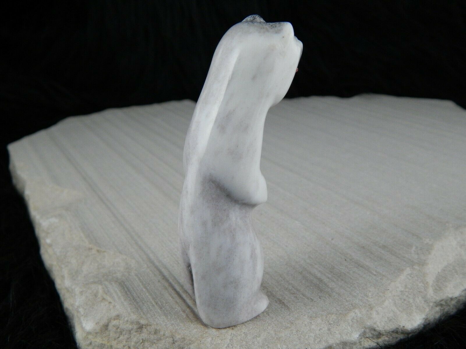 Bear Zuni Fetish Carving - Marlon Lowsayatee - High Lonesome Trading