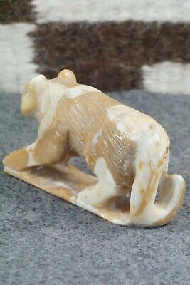 Mountain Lion Zuni Fetish Carving - Derrick Kaamasee