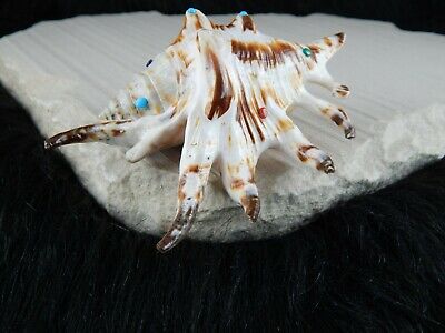 Sea Shell Zuni Fetish - Eric Lonjose - Zuni Sea Shell Carving - Native American - High Lonesome Trading